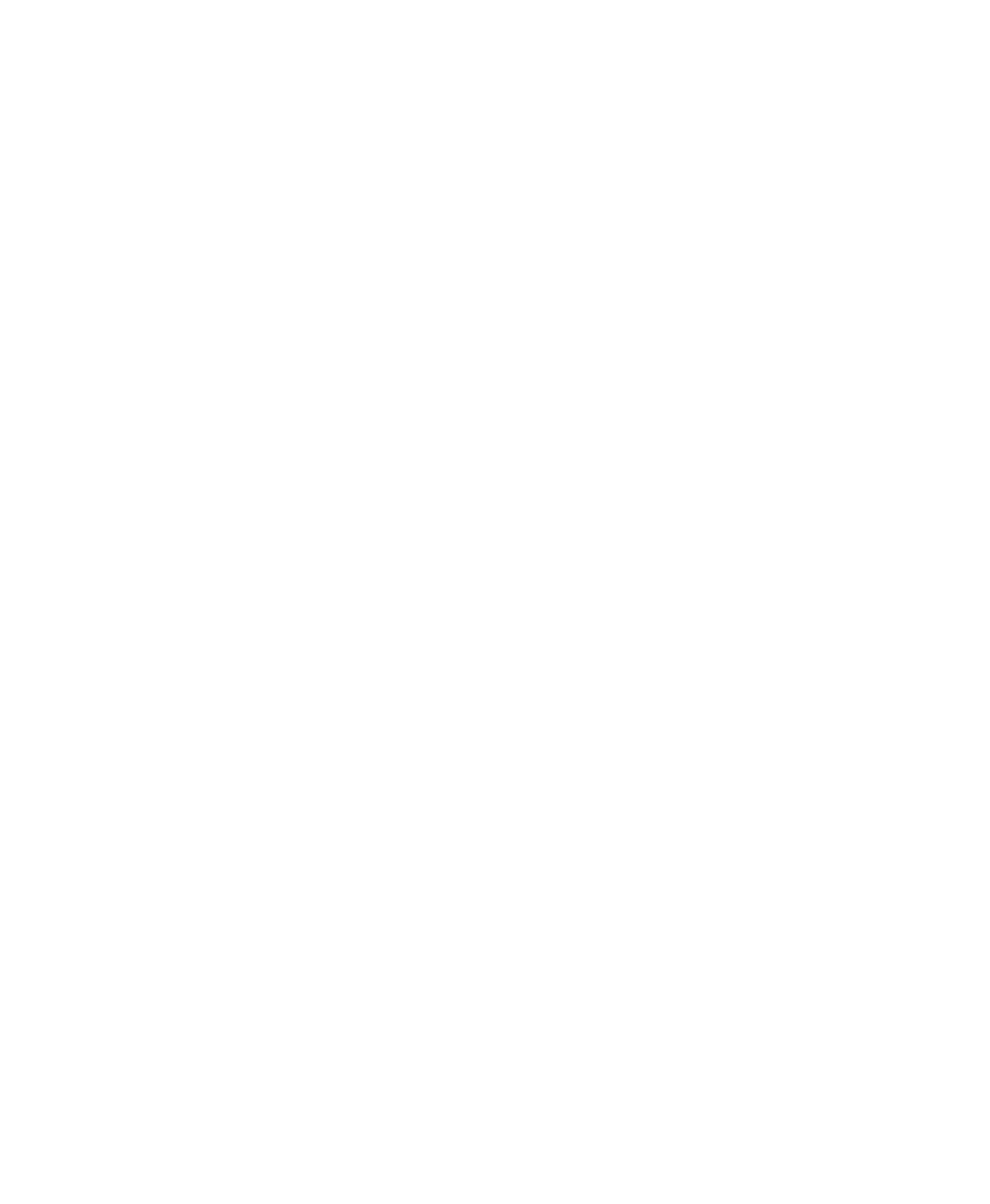 pro swiss security